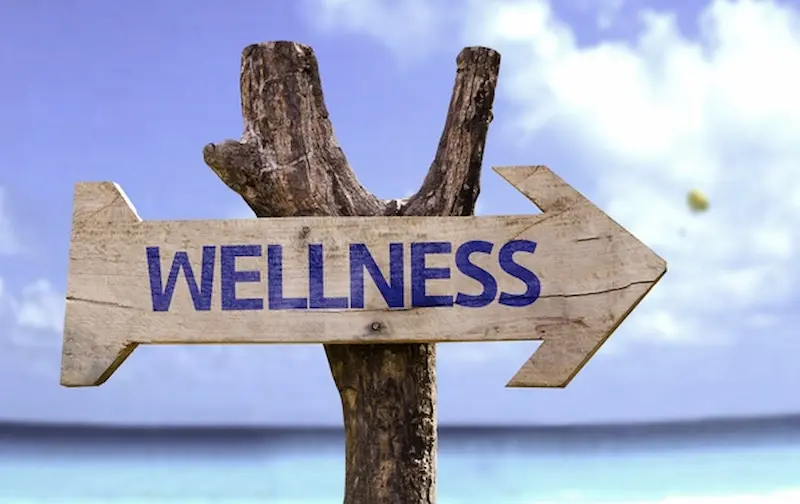 understanding wellness the first step