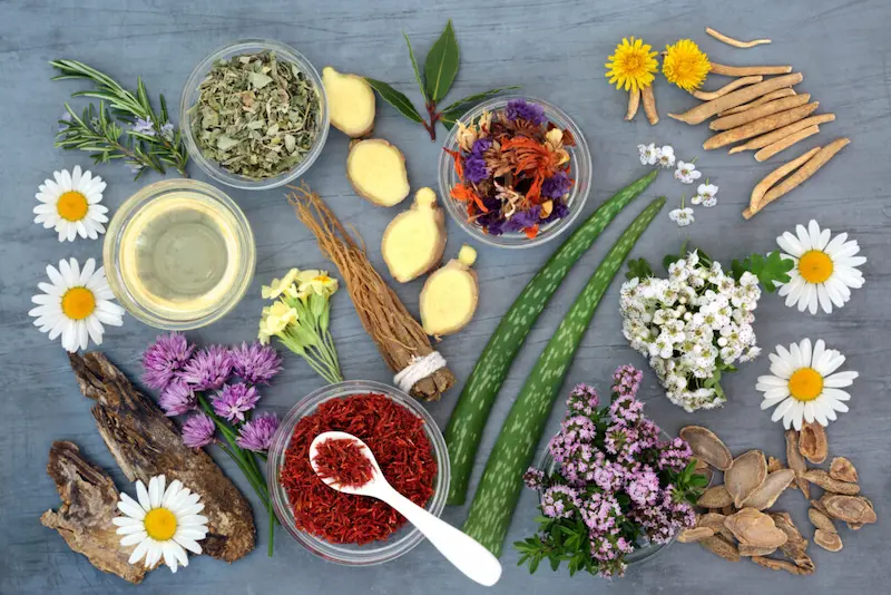 why choose herbal natural healing remedies